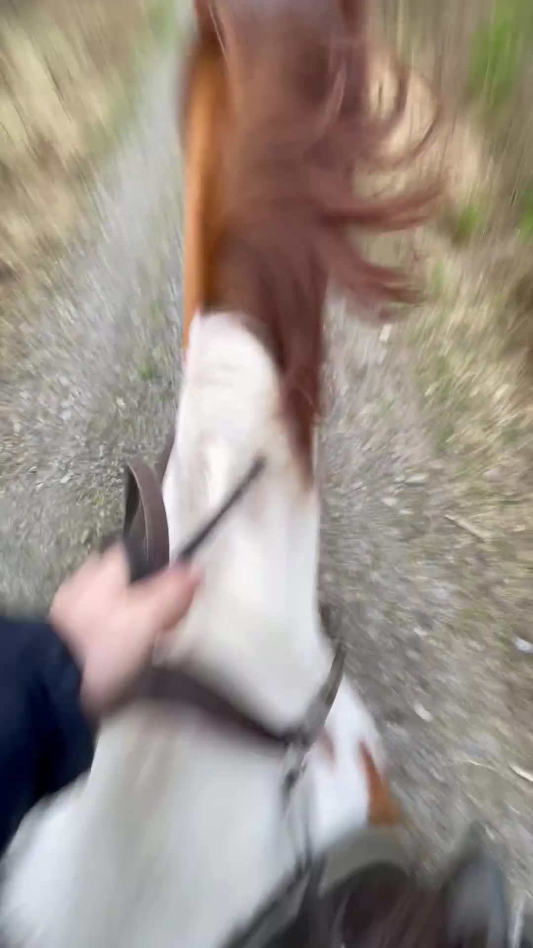  hästjobb finnes: Söker sommarjobb i stall i Hyssna - Video 1