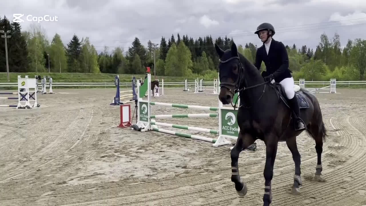 Allround hästar till salu: Charming söker ett nytt hem i Piteå - Video 1
