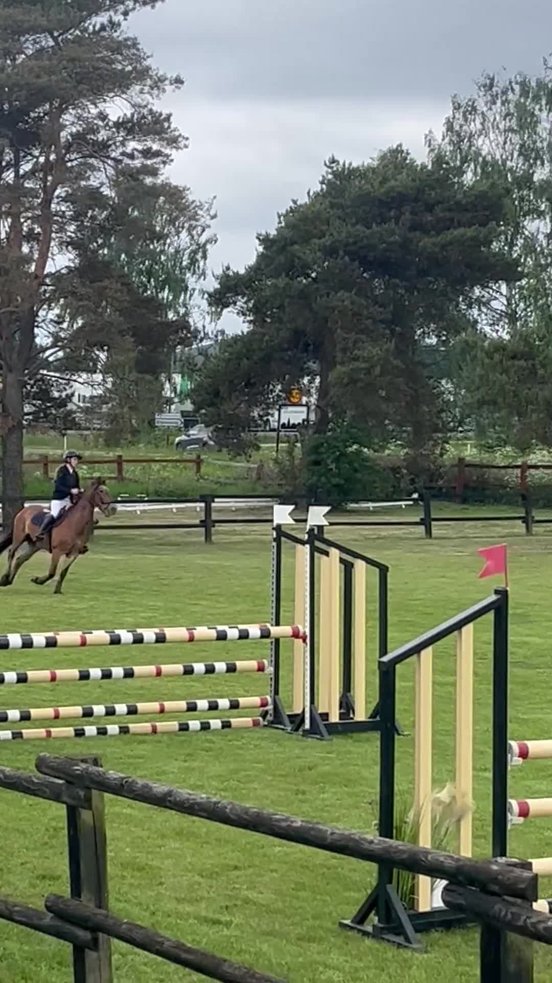 Allround hästar till salu: Mysig D ponny söker 5 ⭐️ hem !  - Video 1