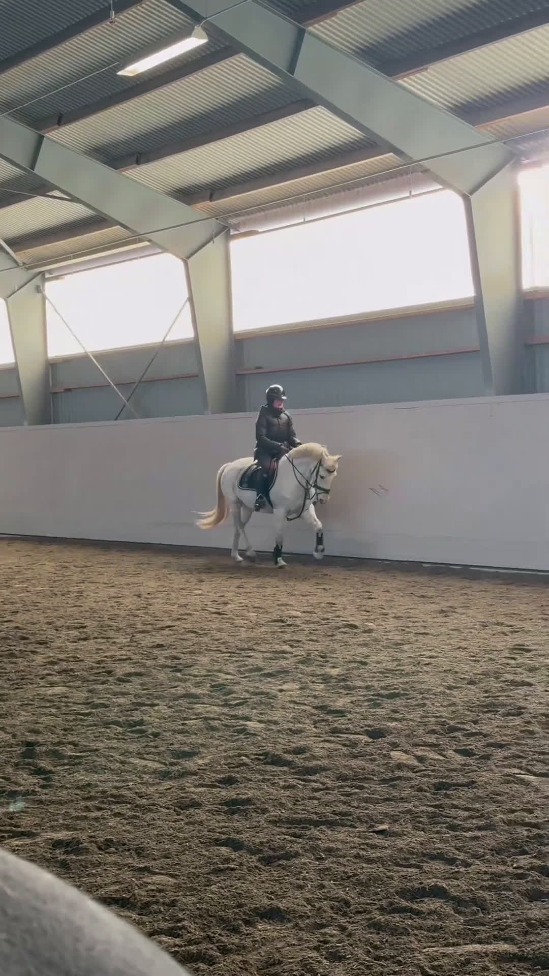 Allround hästar till salu: D- ponny med storhäst känsla till salu‼️ - Video 2