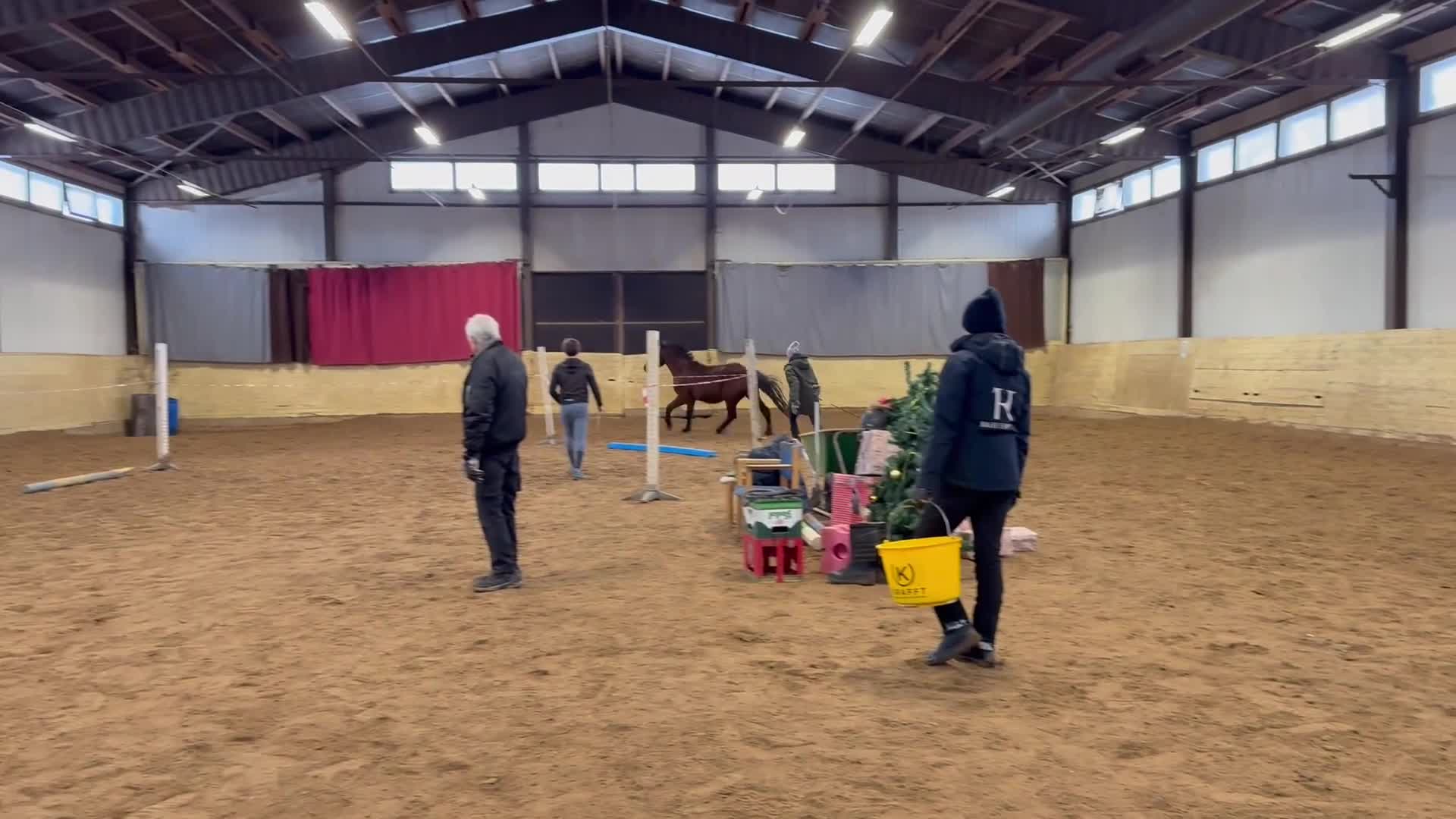 Hoppning hästar till salu: He.Ro Stud SUMMER SALE ! - Video 3