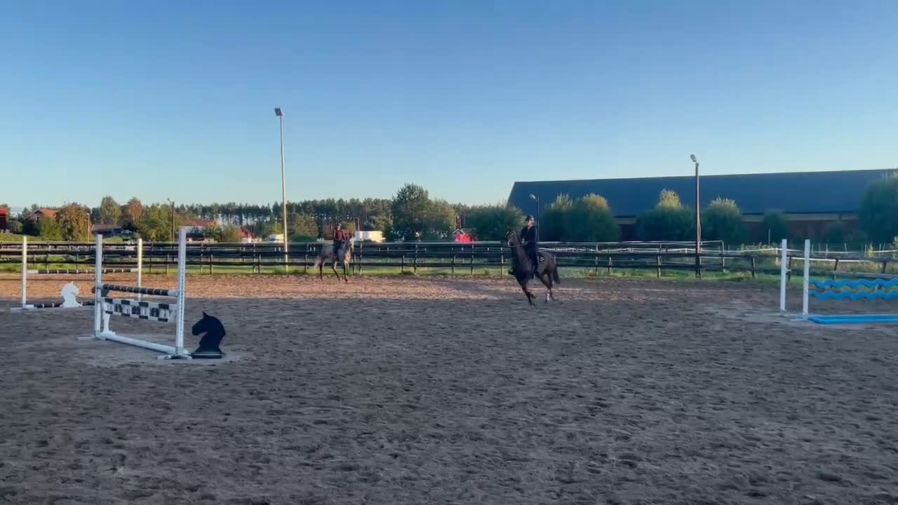 Hoppning hästar till salu: Starias Xlnt Tortellini i Gävle - Video 2