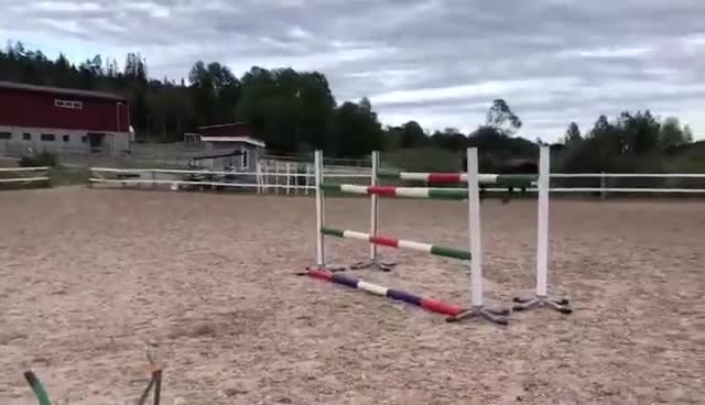 Hoppning hästar till salu: Rutinerad hopphäst med kapacitet i Sörberge - Video 1