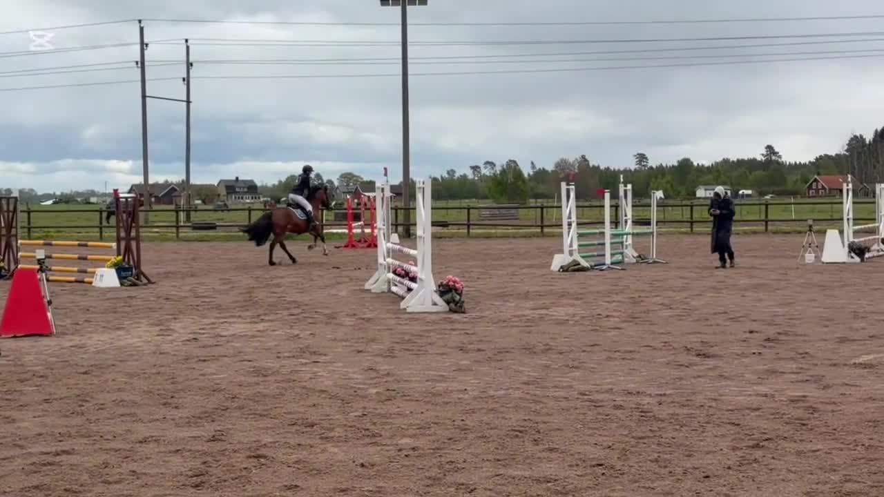 Hoppning hästar till salu: Kvalitetsponny utöver det vanliga - Video 1