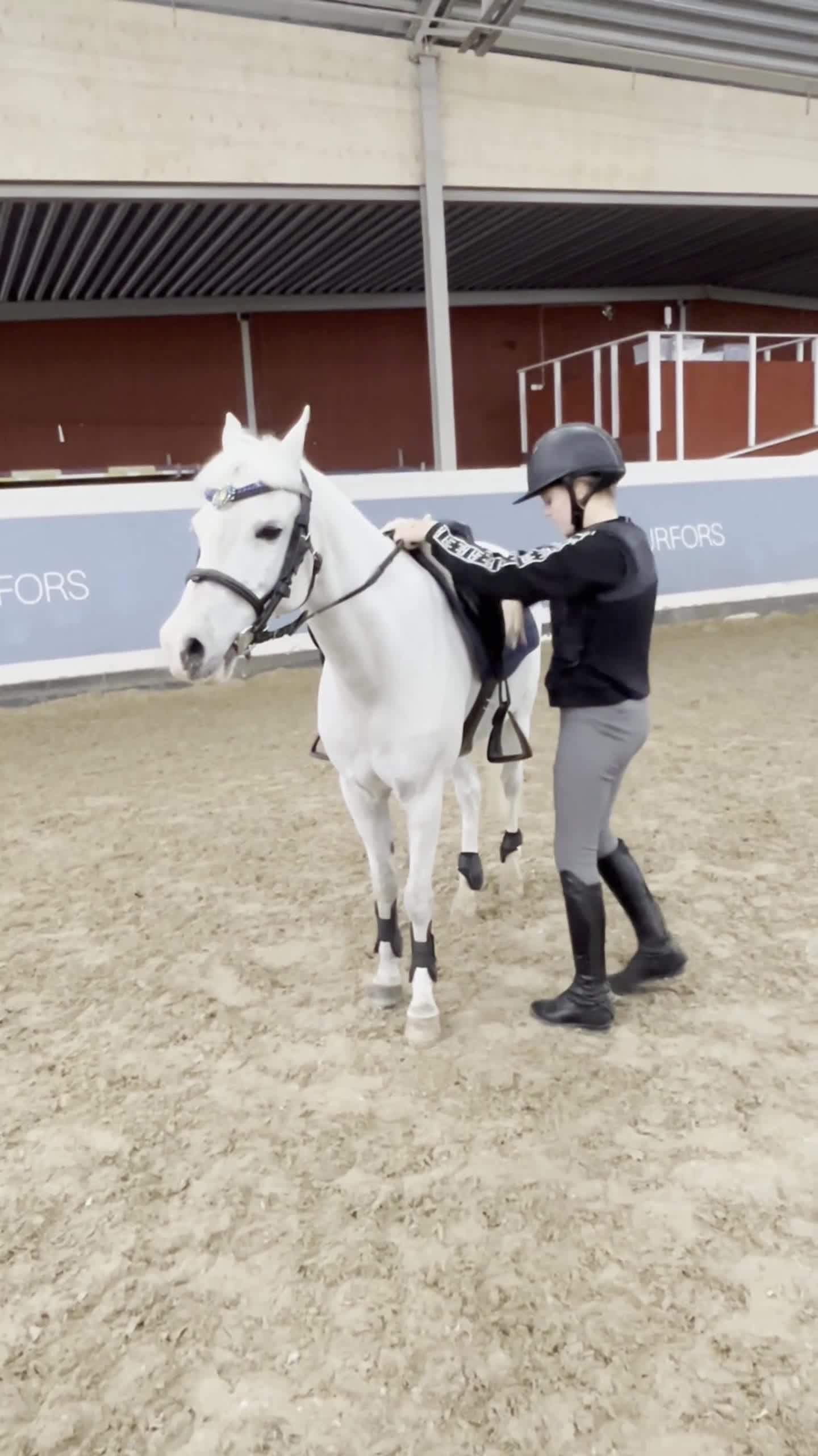 Allround hästar till salu: Maxad B ponny redo för en ny liten pilot  - Video 2