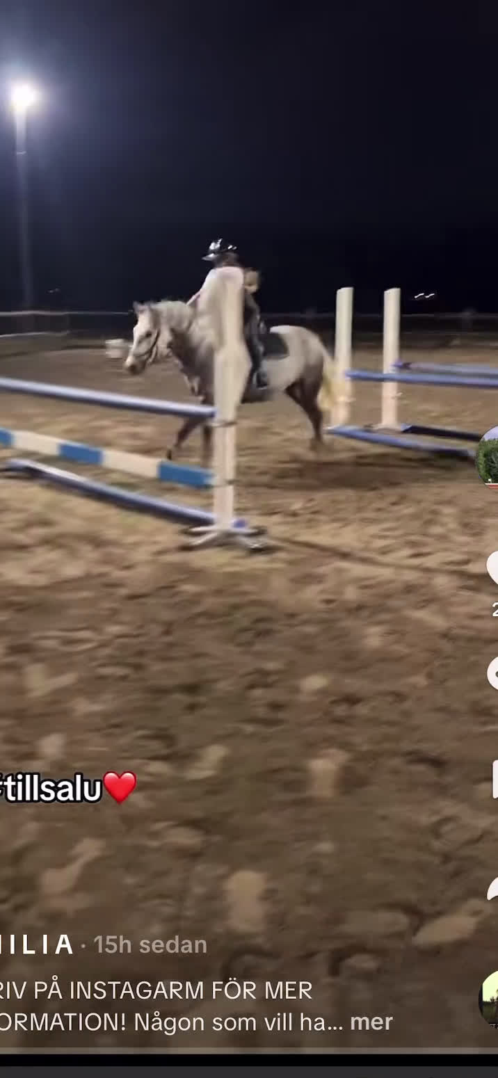 Hoppning hästar till salu: Tävlingskompis och bästa vän  i Skärblacka - Video 1