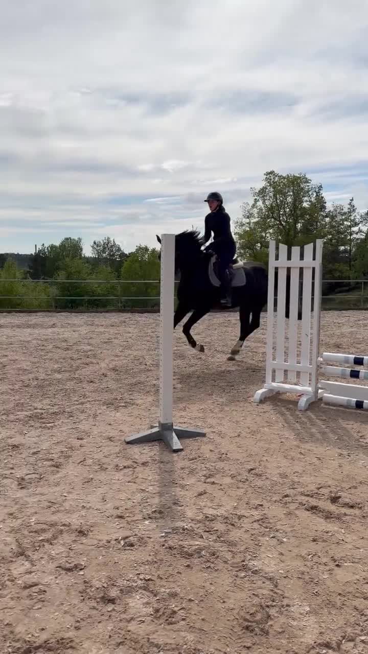 Hoppning hästar till salu: Draco de Semilly – lovande 4-åring - Video 1