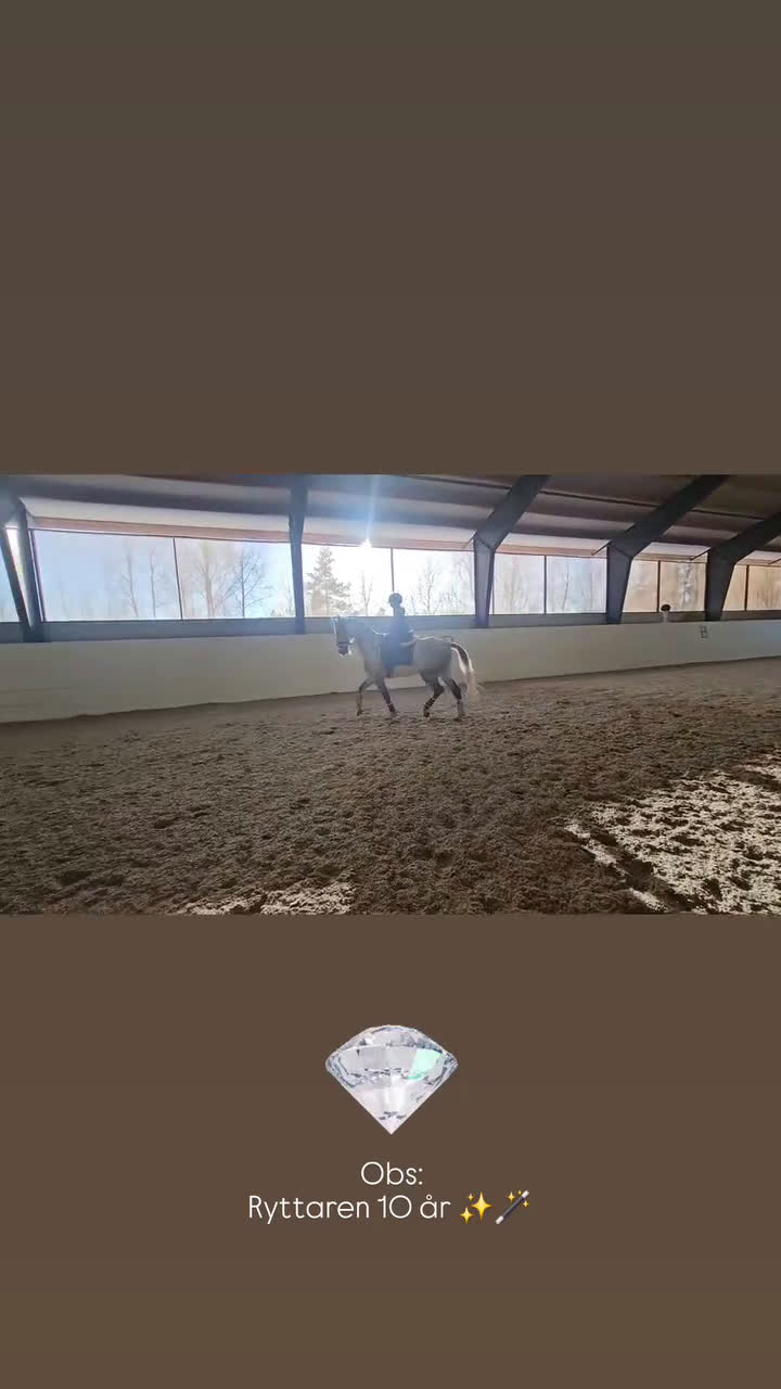 Allround hästar till salu: Drömhäst 🩷 - Video 1