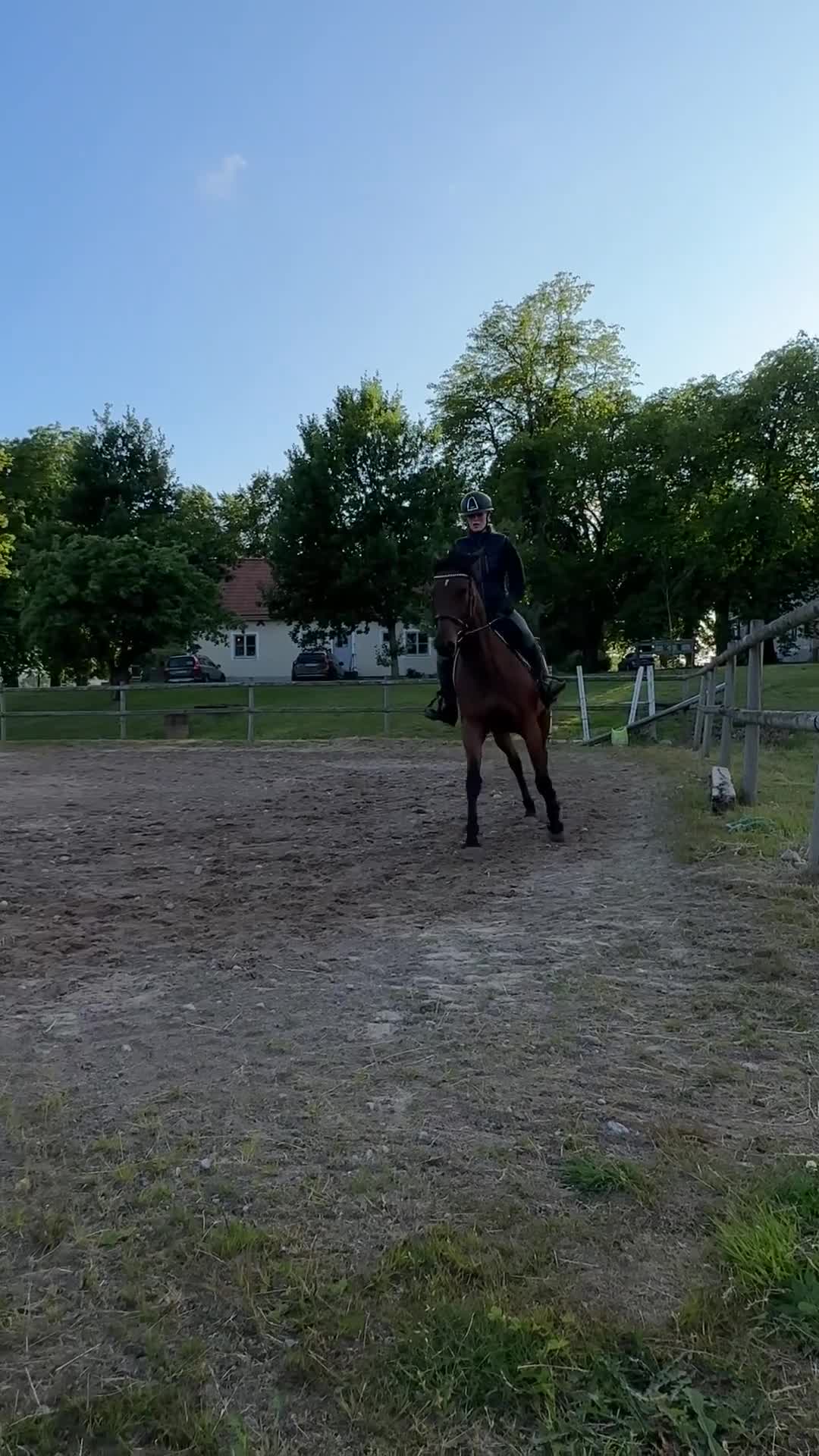 Allround hästar till salu: Personligt sto som blir vad man gör henne till - Video 1
