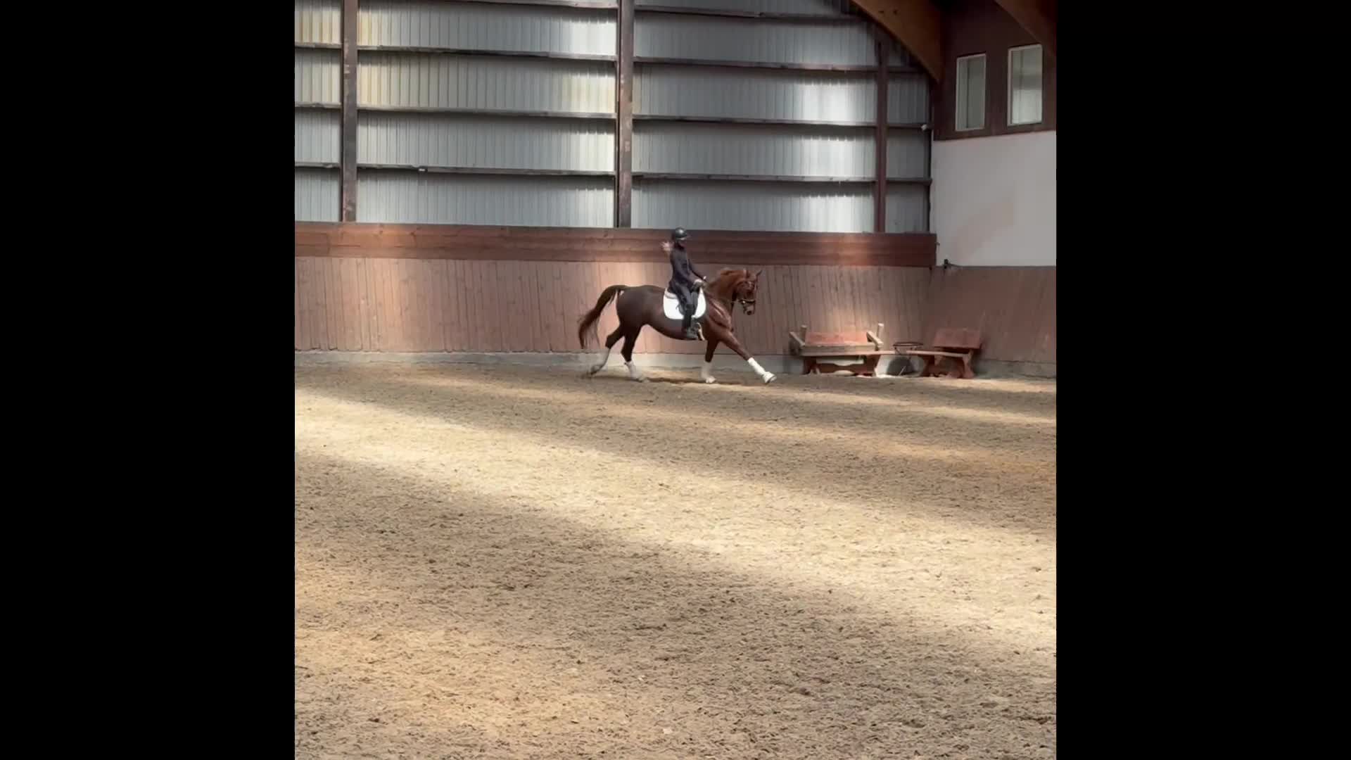 Dressyr hästar till salu: KVALITETSHOPPE MED ET FANTASTISK SIND - Video 1
