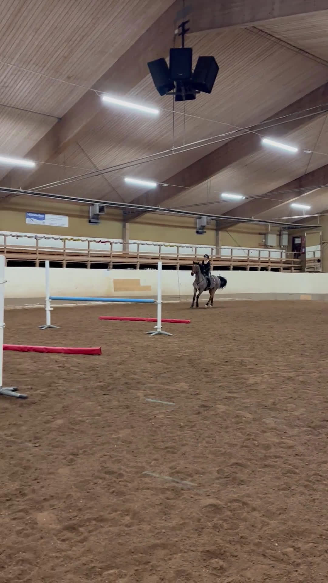 Hoppning hästar till salu: Snäll hopphäst i Malung - Video 1