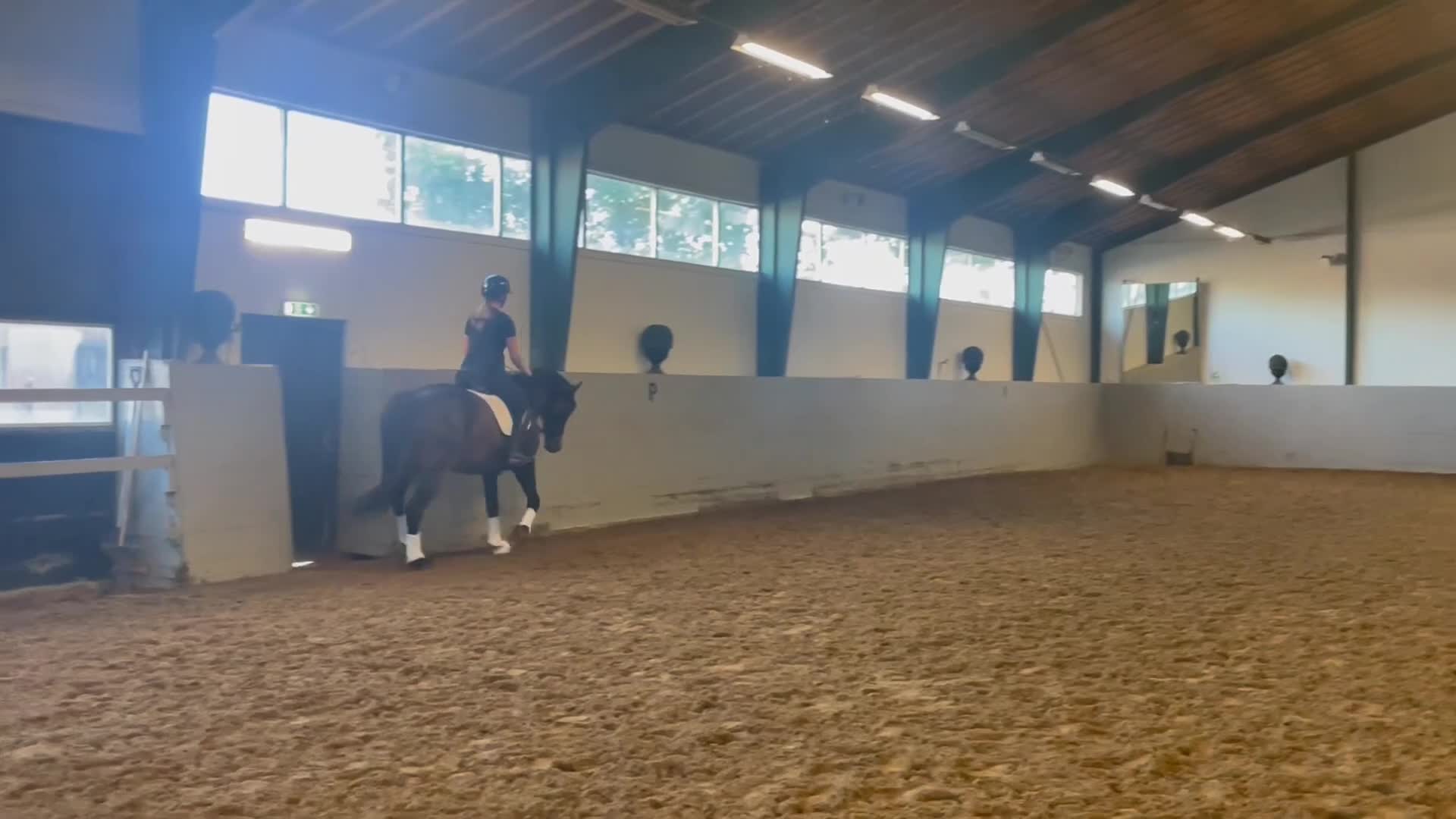 Dressyr hästar till salu: Lovande Dressyrhäst i Onsala - Video 1