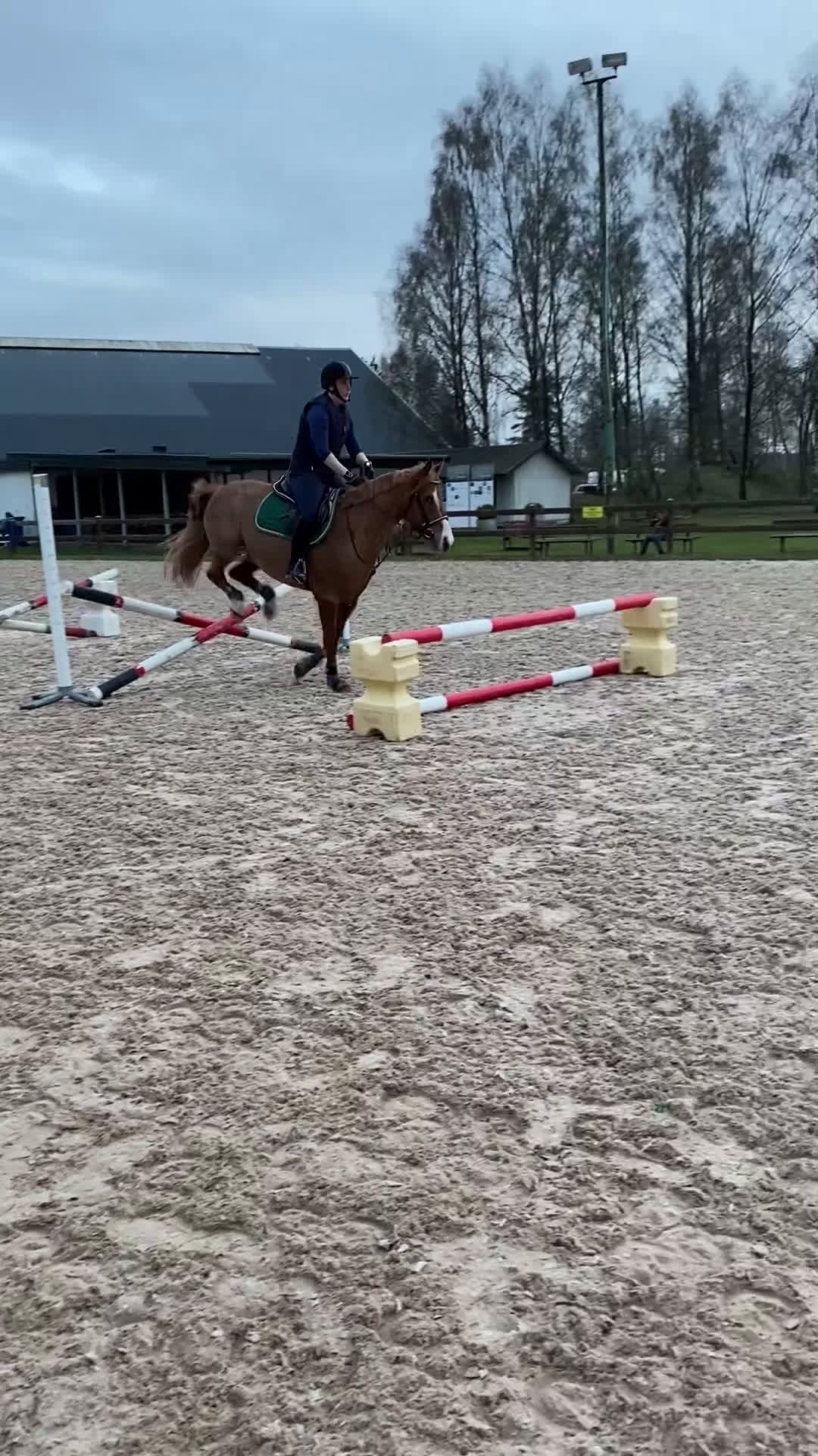 Allround hästar till salu: Maxad Welsh D-ponny  - Video 3