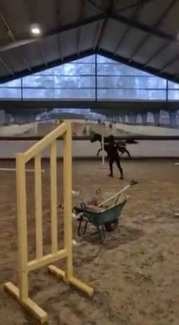 Hoppning hästar till salu: Afterbeat EM – lovande hopptalang efter Heartbeat i Enköping - Video 2