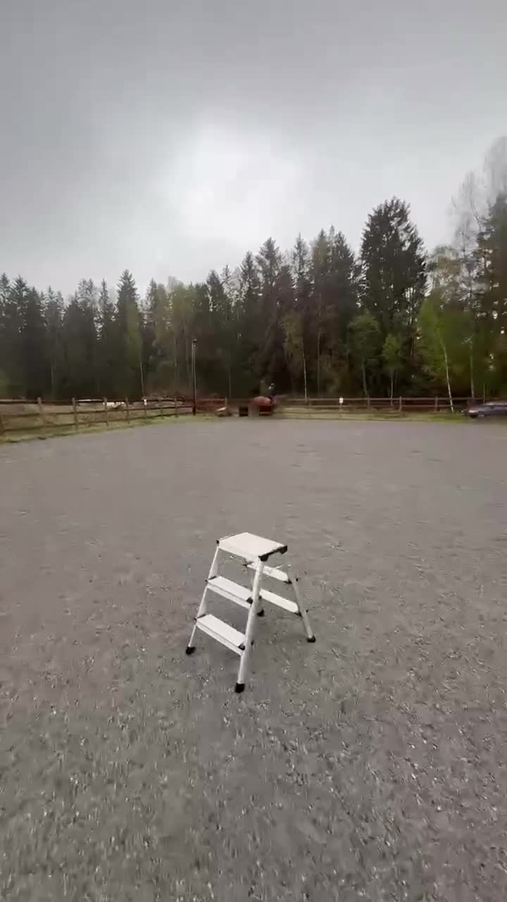 Allround hästar till salu: Charmiga Bosse söker sitt nya drömhem ❤️ - Video 3