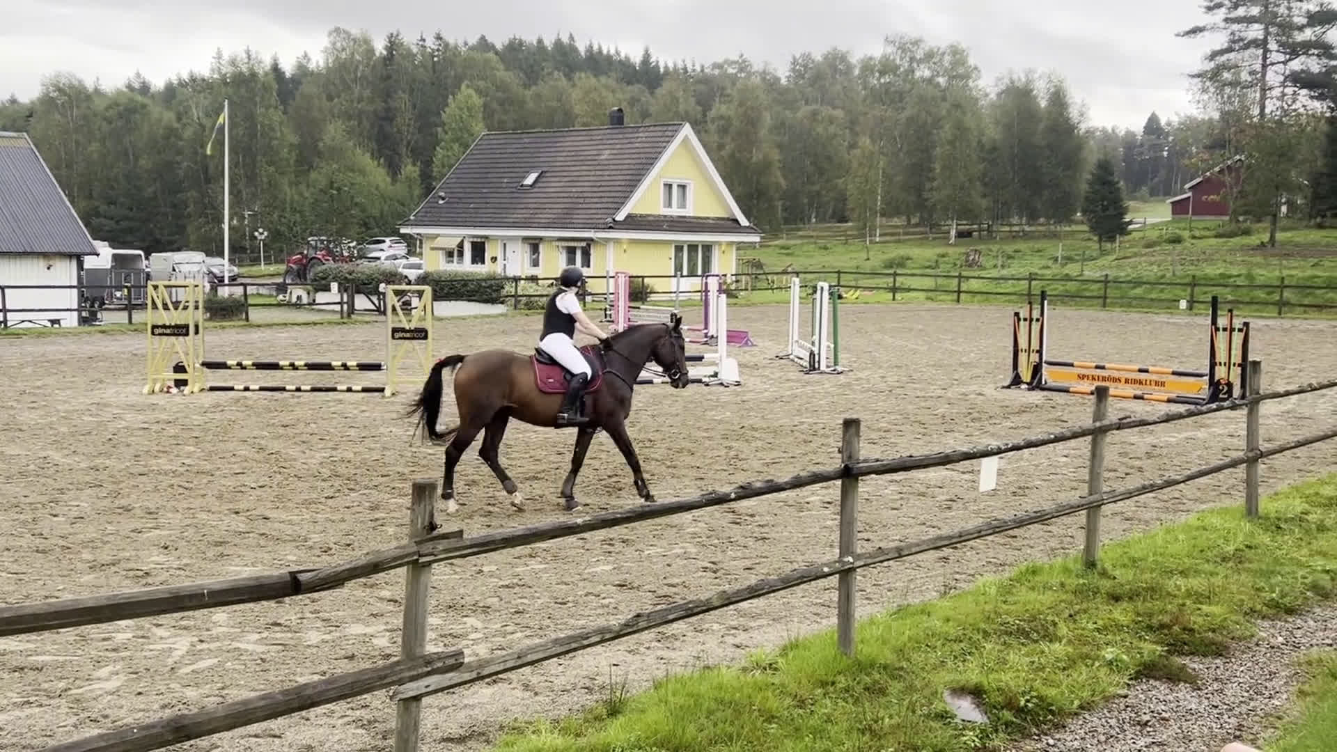 Hoppning hästar till salu: Häst med kapacitet i Henån - Video 3