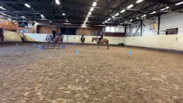  hästjobb finnes: hästtjej söker hästjobb på ridskola - Video 4