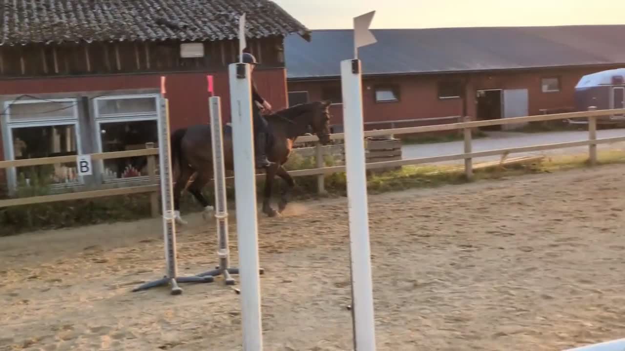  medryttarhäst sökes: Läromästare/dressyrlektioner i Vagnhärad - Video 1