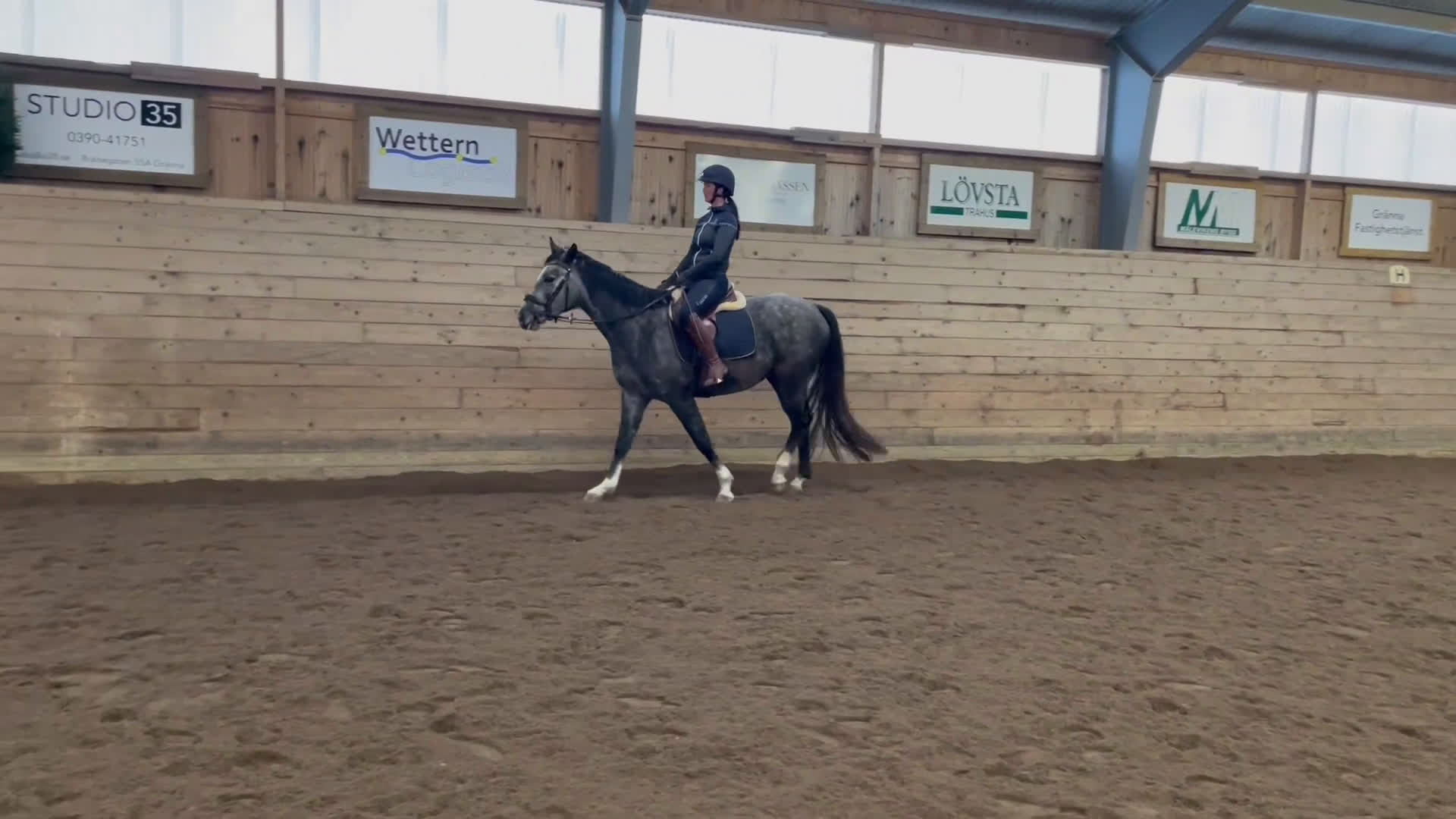 Dressyr hästar till salu: Fantastiskt litet sto i Aneby - Video 1