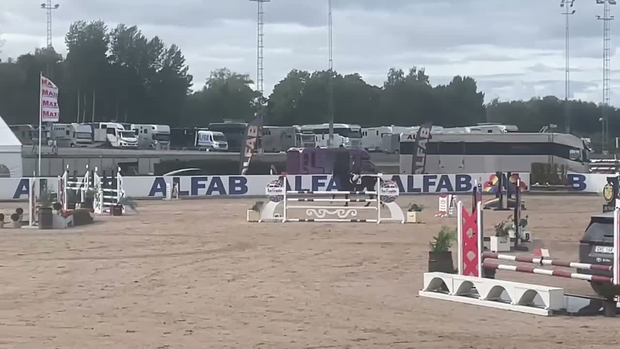 Hoppning hästar till salu: Lovande 6-årigt sto - Video 1