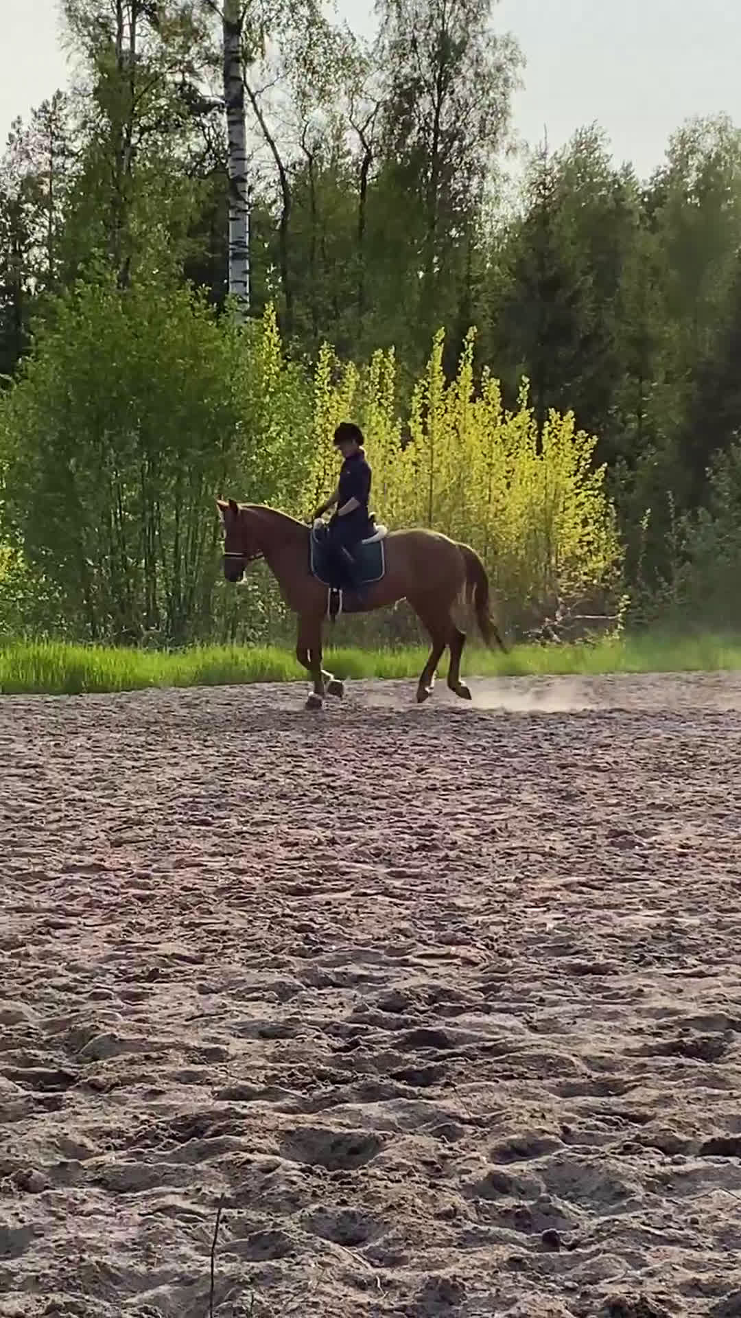 Allround hästar till salu: Trevligt ponnysto i Pargas - Video 1