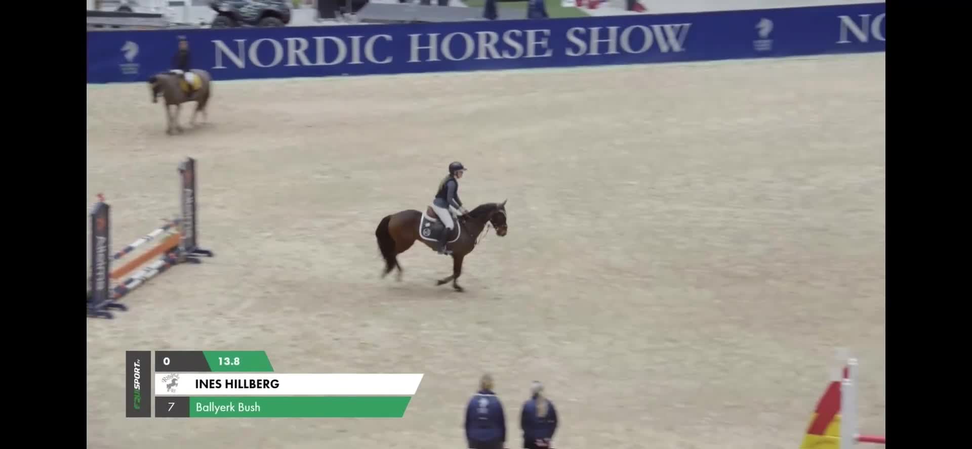 Hoppning hästar till salu: Välutbildad läromästare med hjärta av guld ❤️ - Video 4