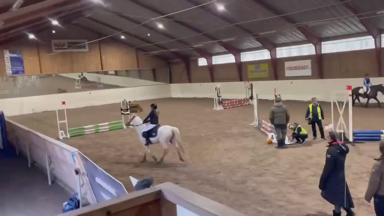 Allround hästar till salu: Bästa vän & läromästare - Video 3