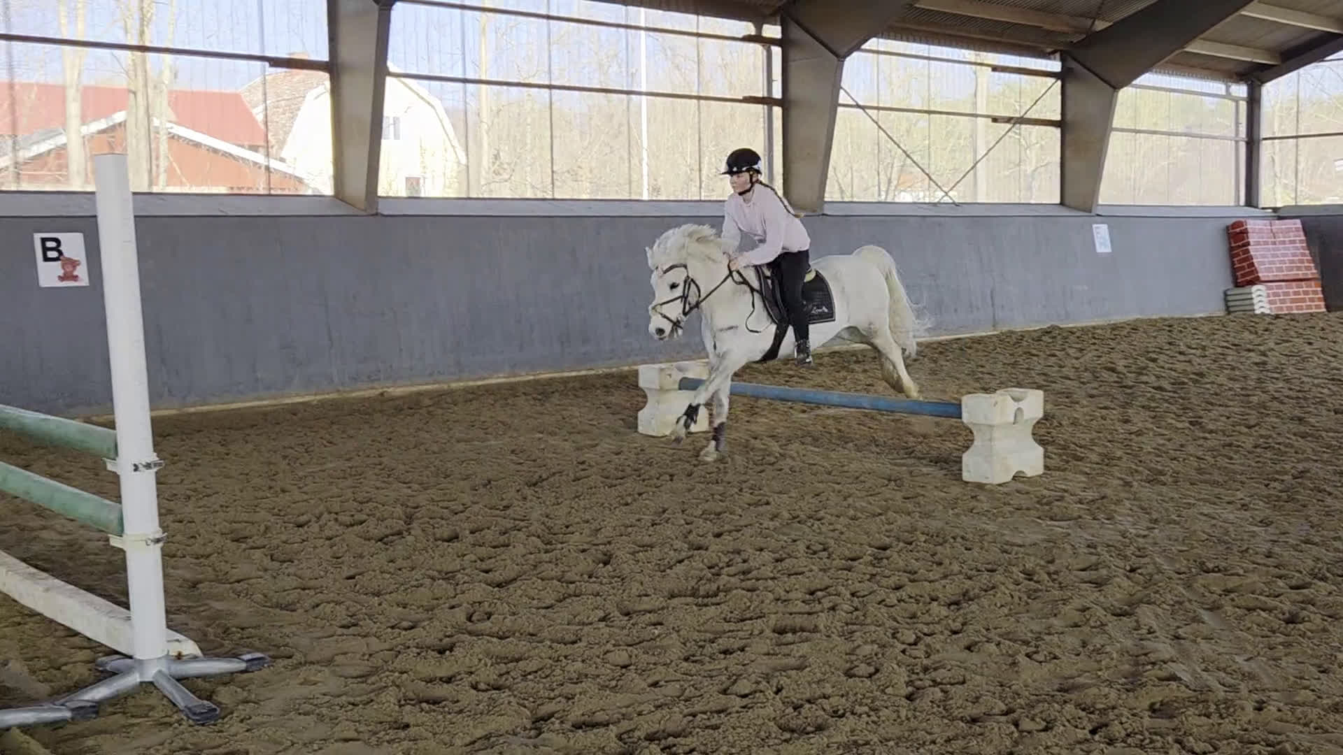 Allround hästar till salu: Supersöt Tävlingsponny - Video 2