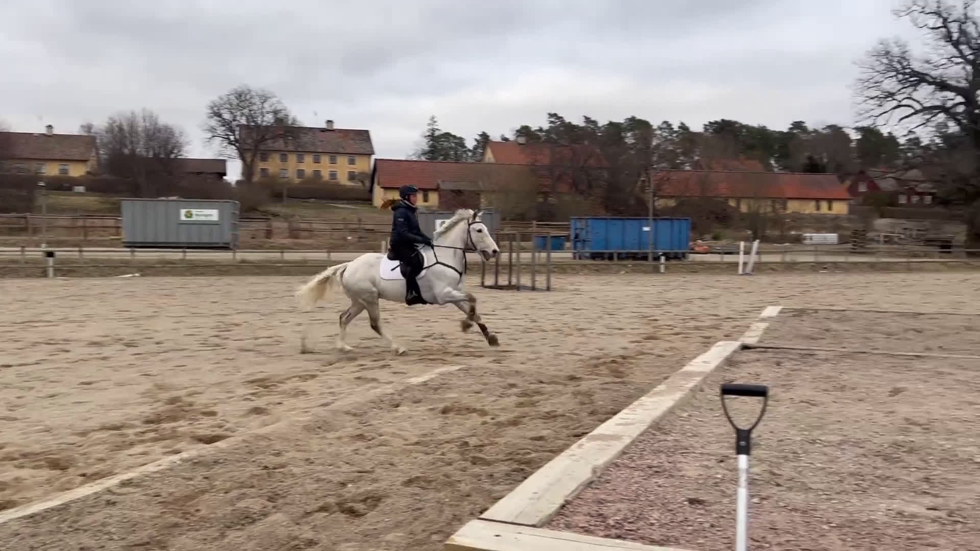 Allround hästar till salu: Positiv valack som älskar att jobba i Österhaninge - Video 2