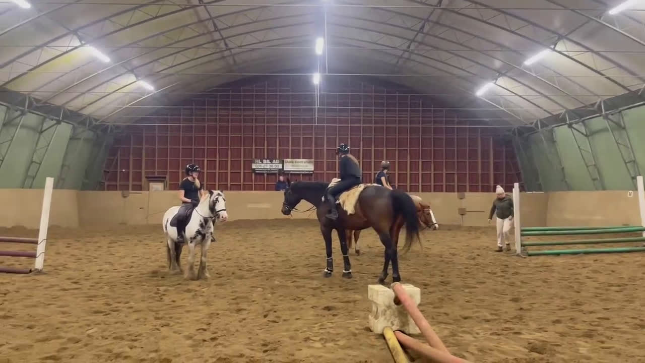 Allround hästar sökes: Söker medryttarhäst⭐️ i Öjersjö - Video 2