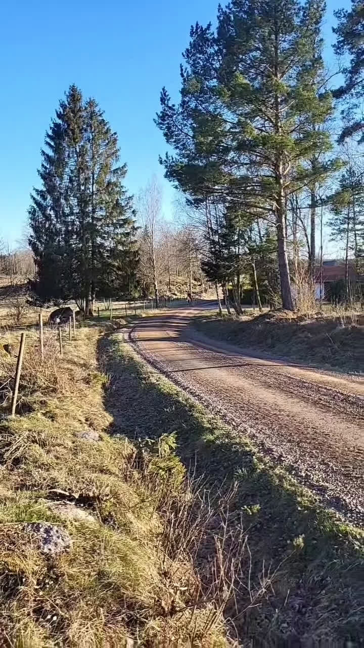 Allround hästar till salu: Intressekoll! Scilla söker sin nya lilla ryttare❤️ i Ljungsbro - Video 4