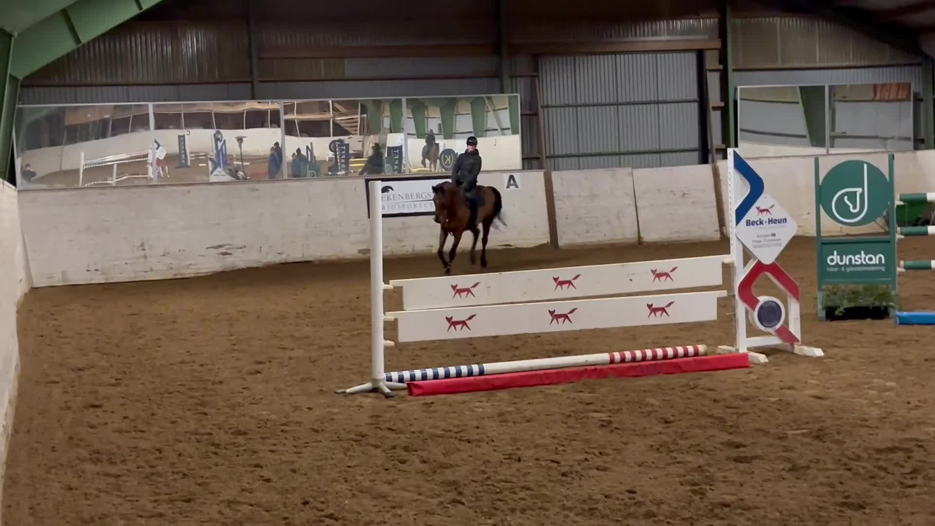 Hoppning hästar till salu: Trevlig 9-årig hopphäst med kapacitet - Video 1