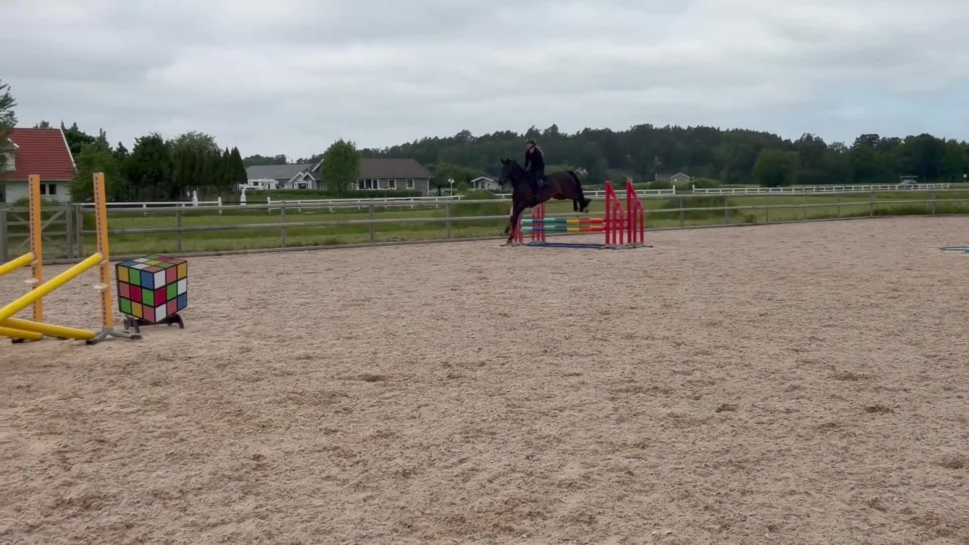 Hoppning hästar till salu: Fantastiskt fin 5 åring  - Video 1