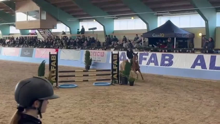 Hoppning hästar till salu: Snäll & snygg c-ponny som gått de stora klasserna - Video 2