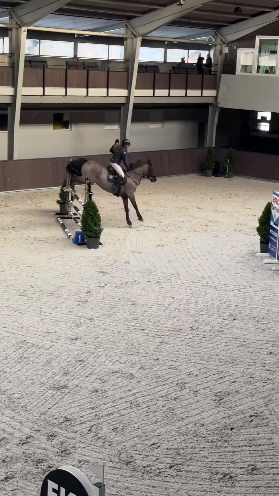 Hoppning hästar till salu: Talangfull hopphäst med stor potential  i Stockholm - Video 3