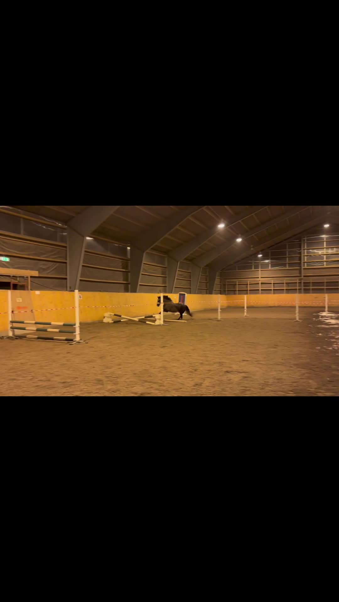 Allround hästar till salu: Ponny med hjärtat på rätt plats  i Gamleby - Video 2