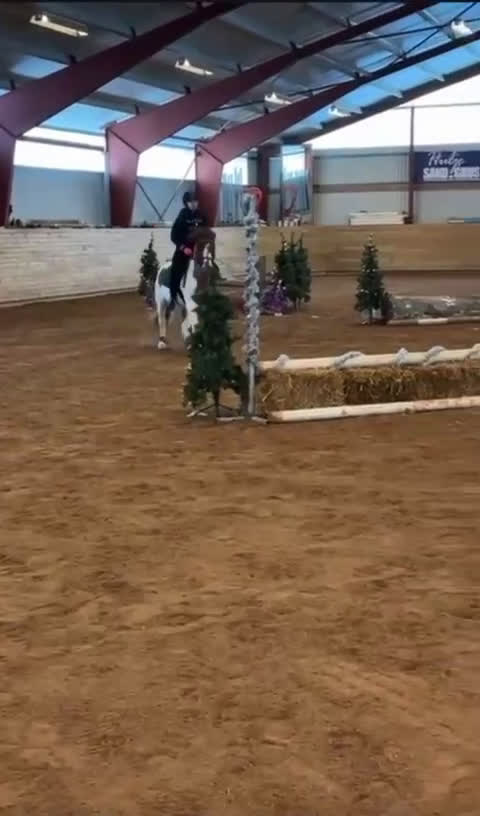 Allround hästar till salu: Superhärlig ponny i Mantorp - Video 2