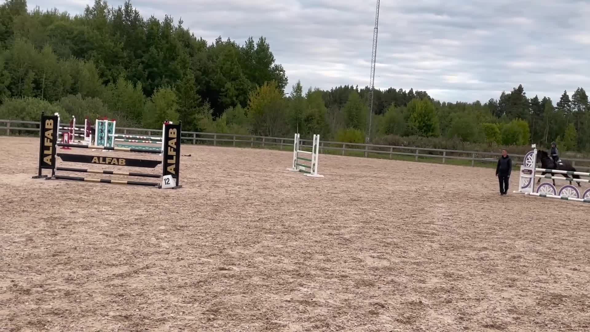 Hoppning hästar till salu: Välutbildad D-ponny med hjärta och kapacitet - Video 1
