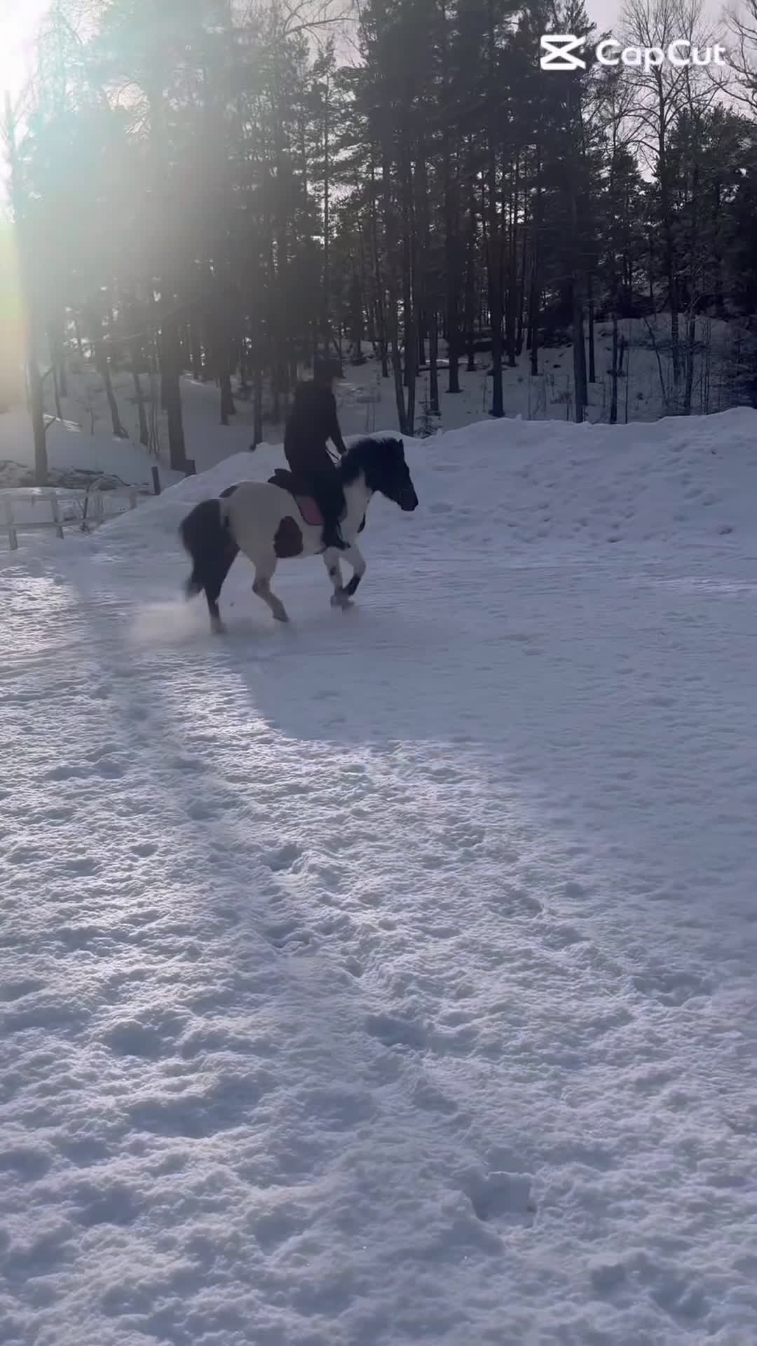 Allround hästar sökes: Söker medryttarhäst!🐴 i Gustavsberg - Video 2