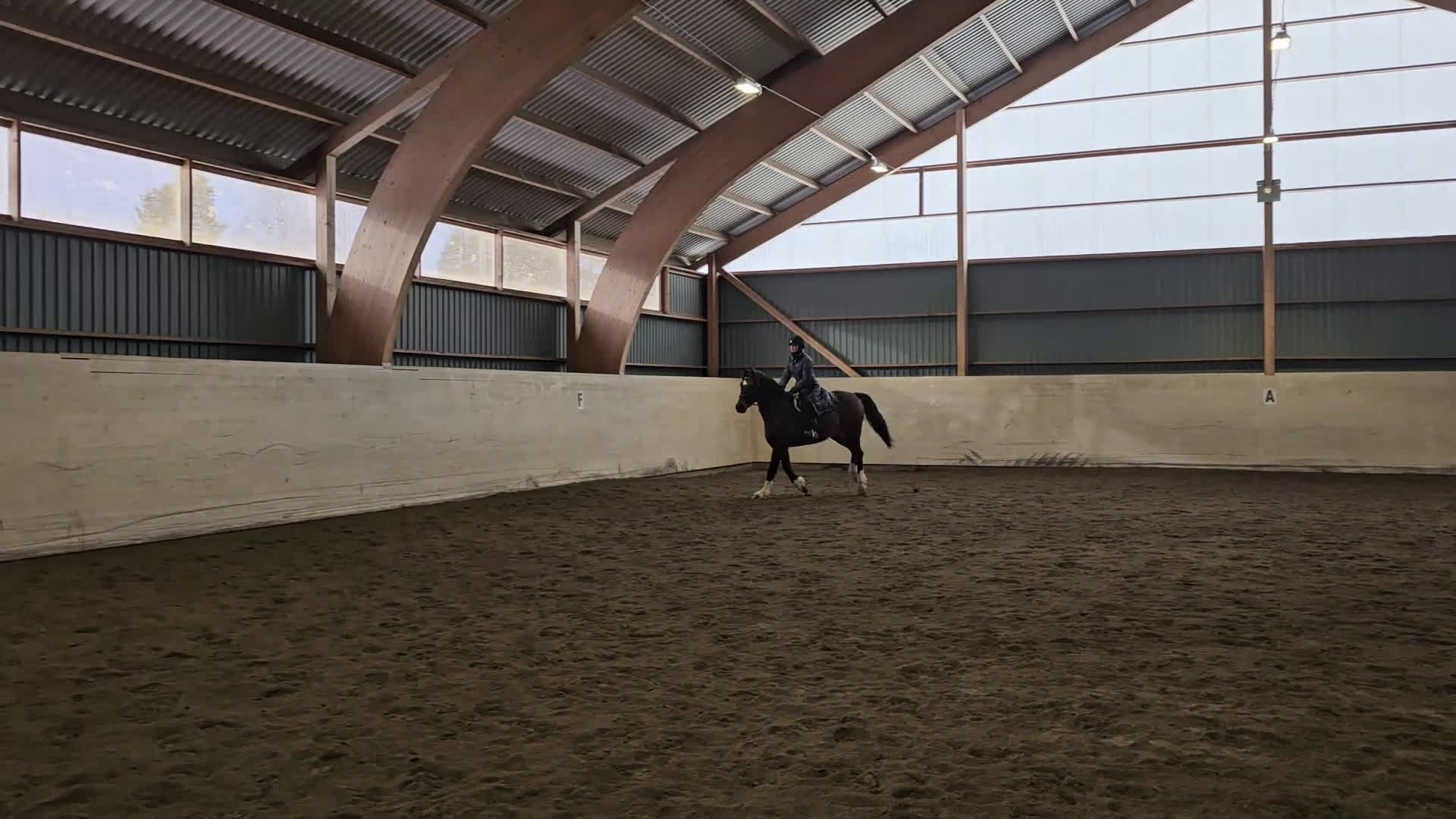 Hoppning hästar till salu: Iögonfallande 4-åring - Video 1