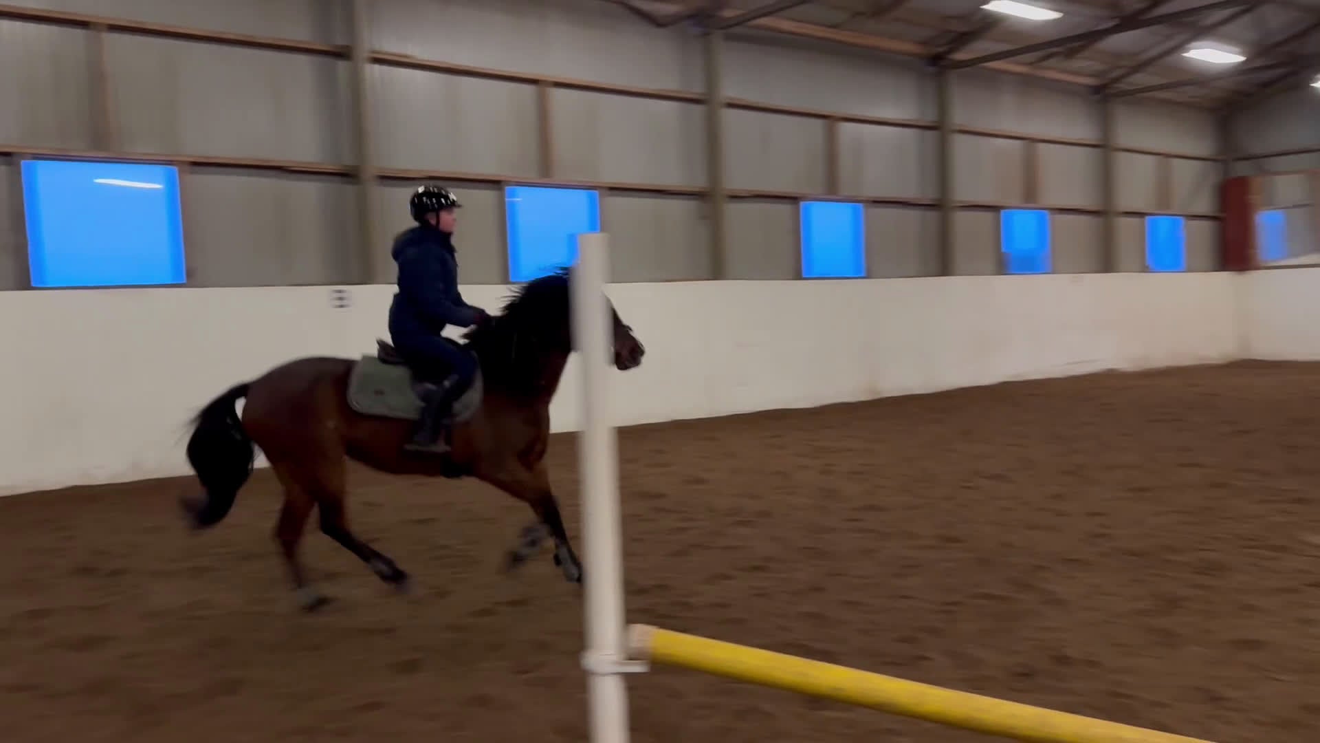 Hoppning hästar till salu: Sweetie Pie i Vikingstad - Video 5