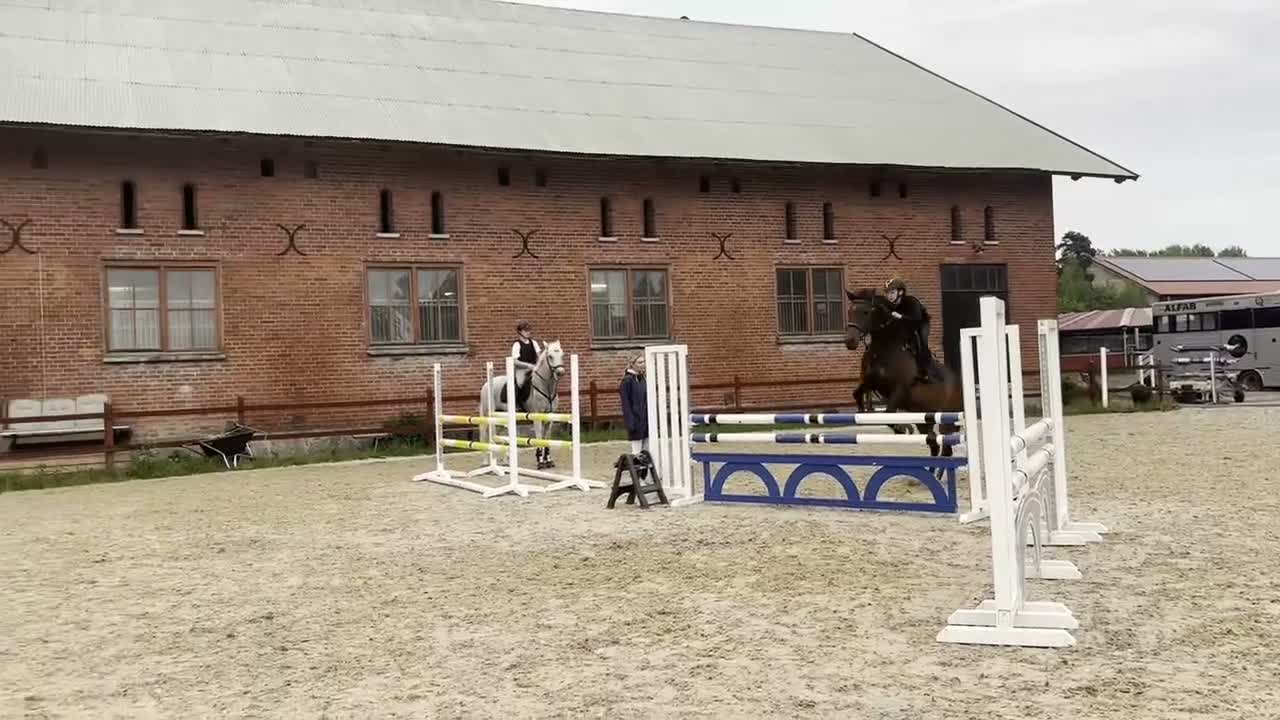 Allround hästar till salu: Fantastisk sto med stort hjärta! - Video 1