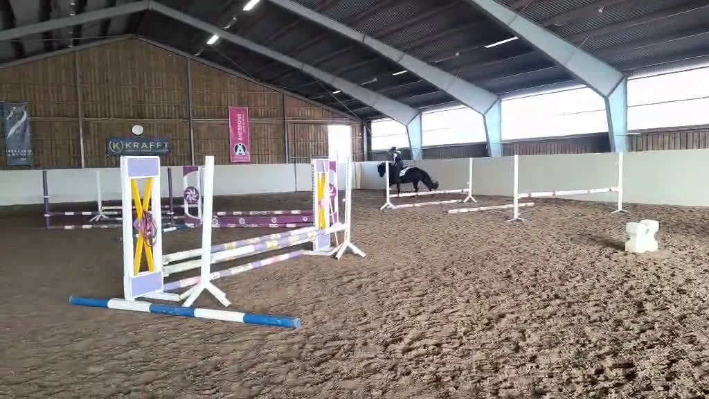 Allround hästar till salu: Superfint halvblod - Video 2