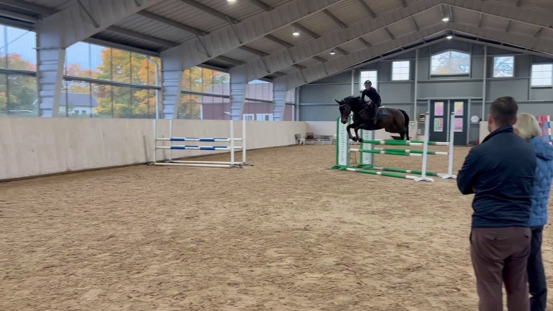 Allround hästar till salu: Sto med mycket utstrålning! i Kumla - Video 1