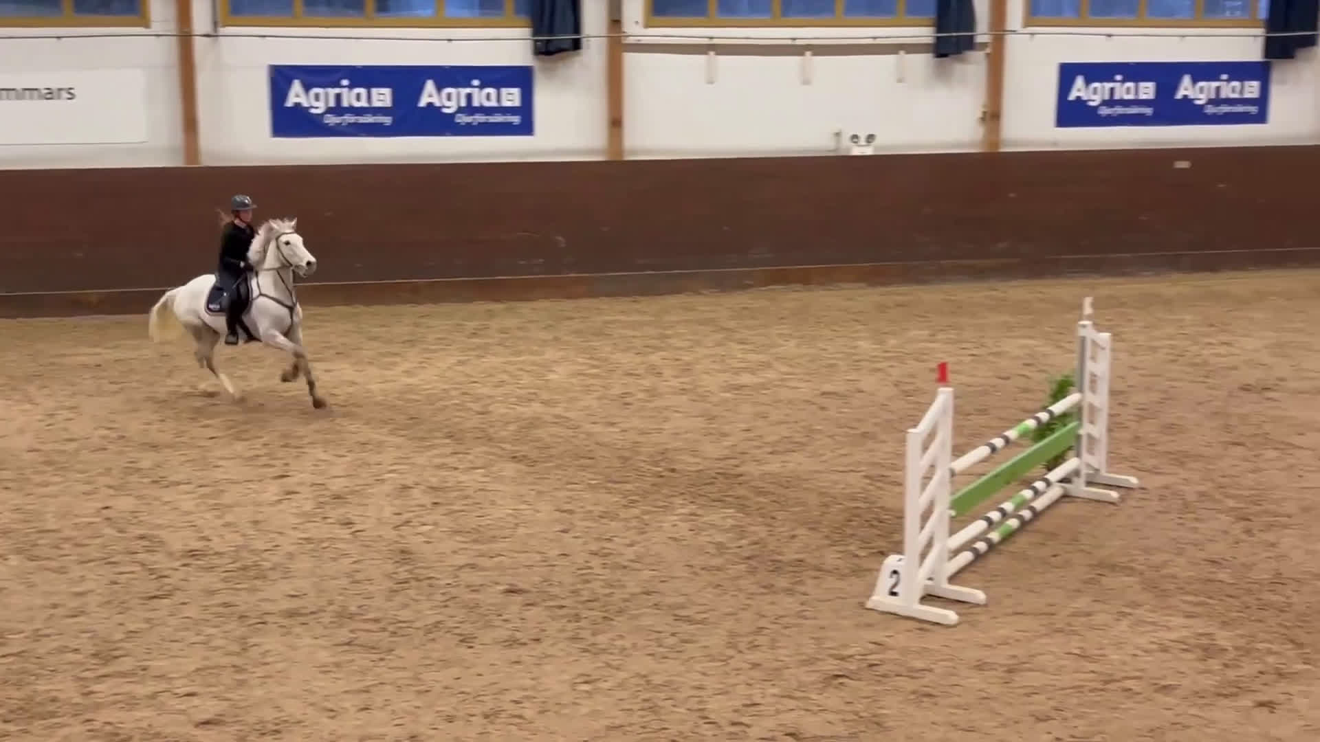 Allround hästar till salu: Positiv valack som älskar att jobba i Österhaninge - Video 1