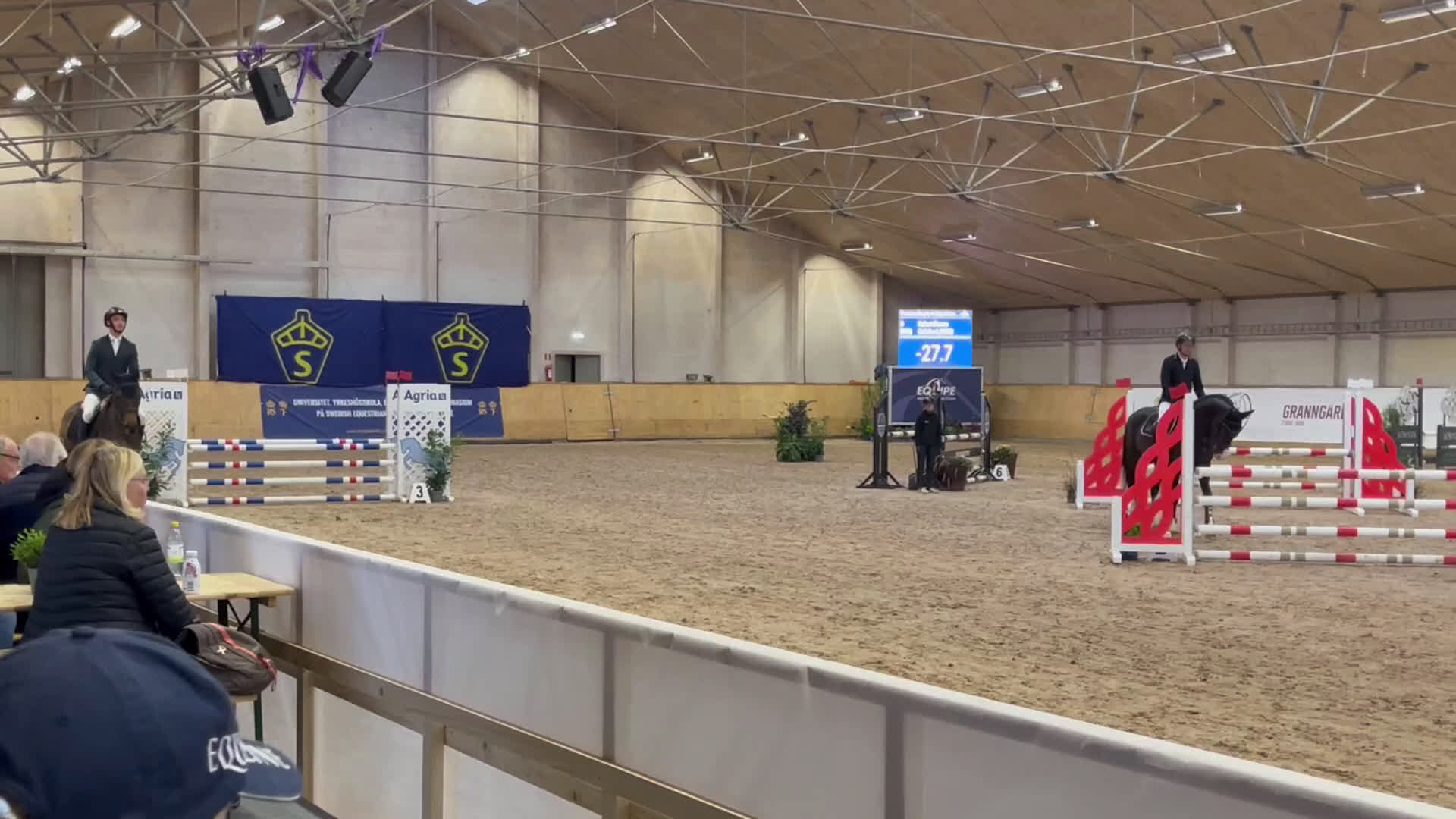 Hoppning hästar till salu: Supersöt breedersfinalist i Ingelstad - Video 1
