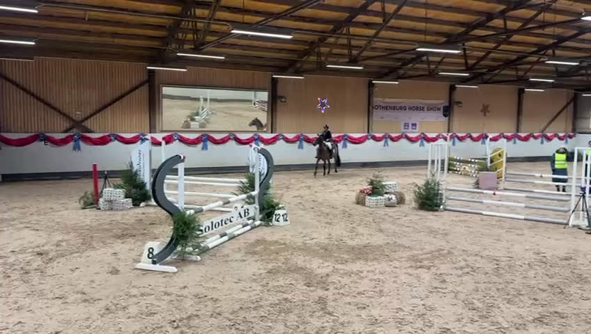 Hoppning hästar till salu: Världens bästa vän och tävlingskamrat! i Viken - Video 4