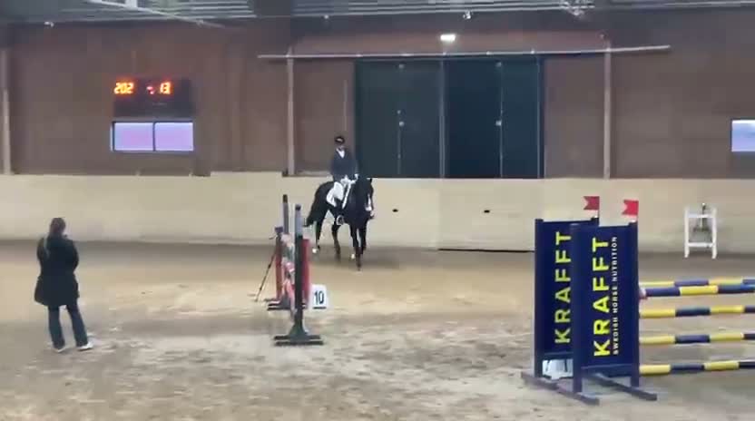 Hoppning hästar till salu: Lovande 6-årigt sto - Video 2