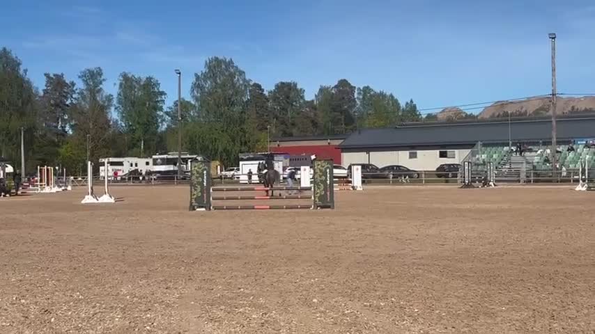 Hoppning hästar till salu: Snygg irländare  - Video 1