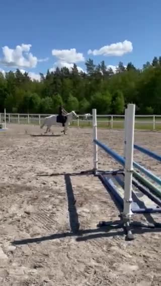 Hoppning hästar till salu: Bästa kompisen för vardag och tävling - Video 4